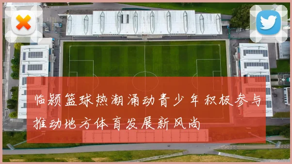 临颍篮球热潮涌动青少年积极参与推动地方体育发展新风尚