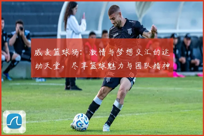 威麦篮球场：激情与梦想交汇的运动天堂，尽享篮球魅力与团队精神的完美结合