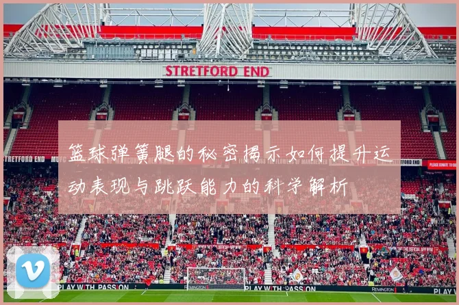 篮球弹簧腿的秘密揭示如何提升运动表现与跳跃能力的科学解析