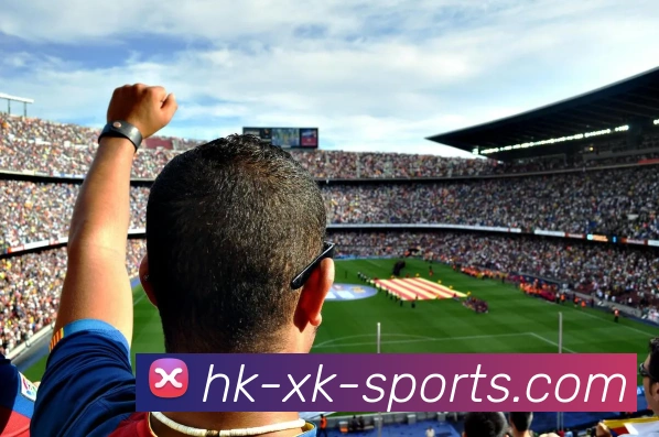 xingkongsport平台生态图